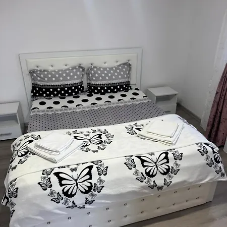 Semesterbostad Casa Denisa Sulina
