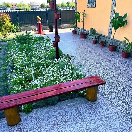 Prázdninový dům Casa Denisa Sulina